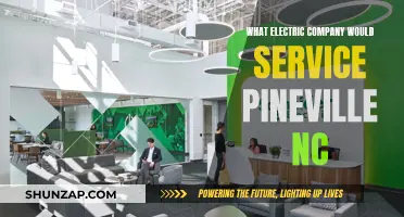 Which Electric Company Services Pineville, NC?
