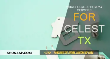 Electric Companies: Best Options for Celeste, TX