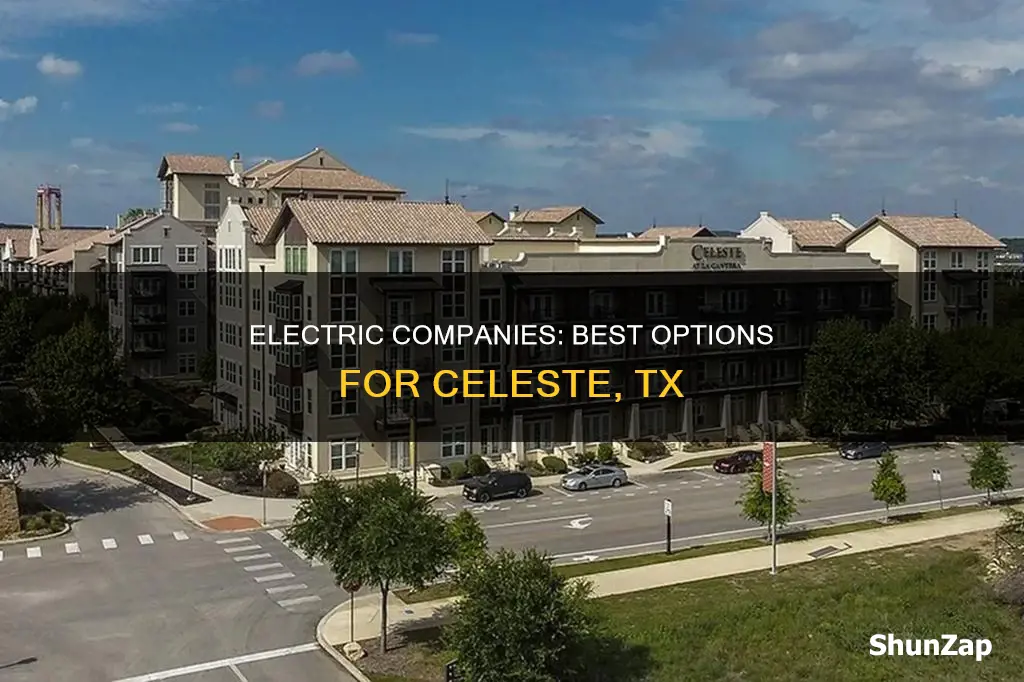 what electric compay services for celeste tx
