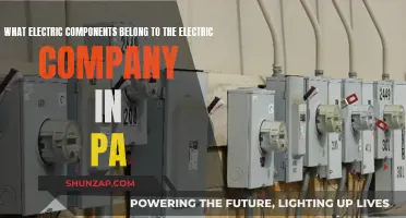 Unraveling the Mystery: Which Electric Components Are Owned by PA's Power Company?