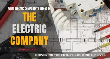 Electric Company's Essential Components: Understanding the Basics