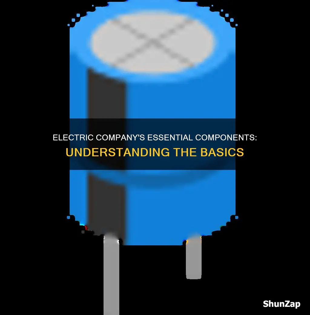 what electric components belong to the electric company