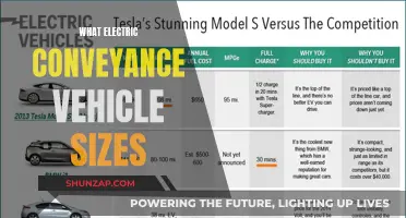 Exploring the Range of Electric Conveyance Vehicle Sizes