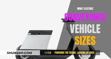 Electric Conveyance Vehicles: Understanding Their Sizes and Variations