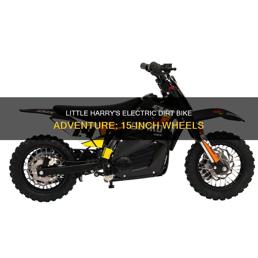 what electric dirt bike does little harry 15