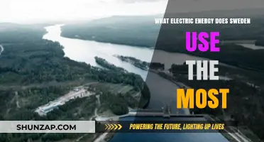 Sweden's Top Electric Energy Source: Unveiling the Dominant Power Choice
