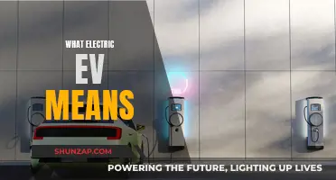 Electric Evolution: Understanding the EV Revolution