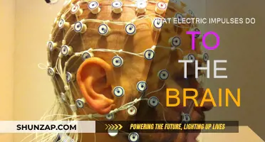 Electric Impulses: Brain Stimulation and its Power