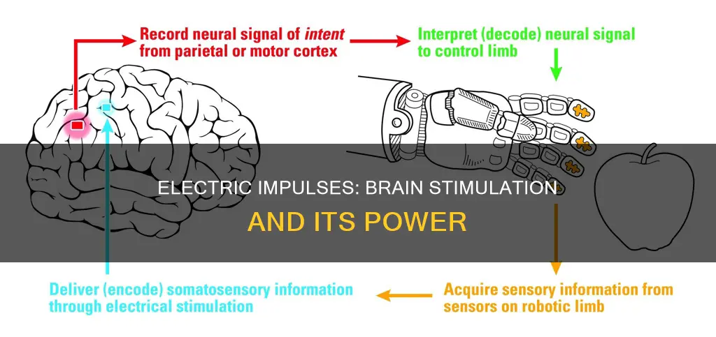 what electric impulses do to the brain