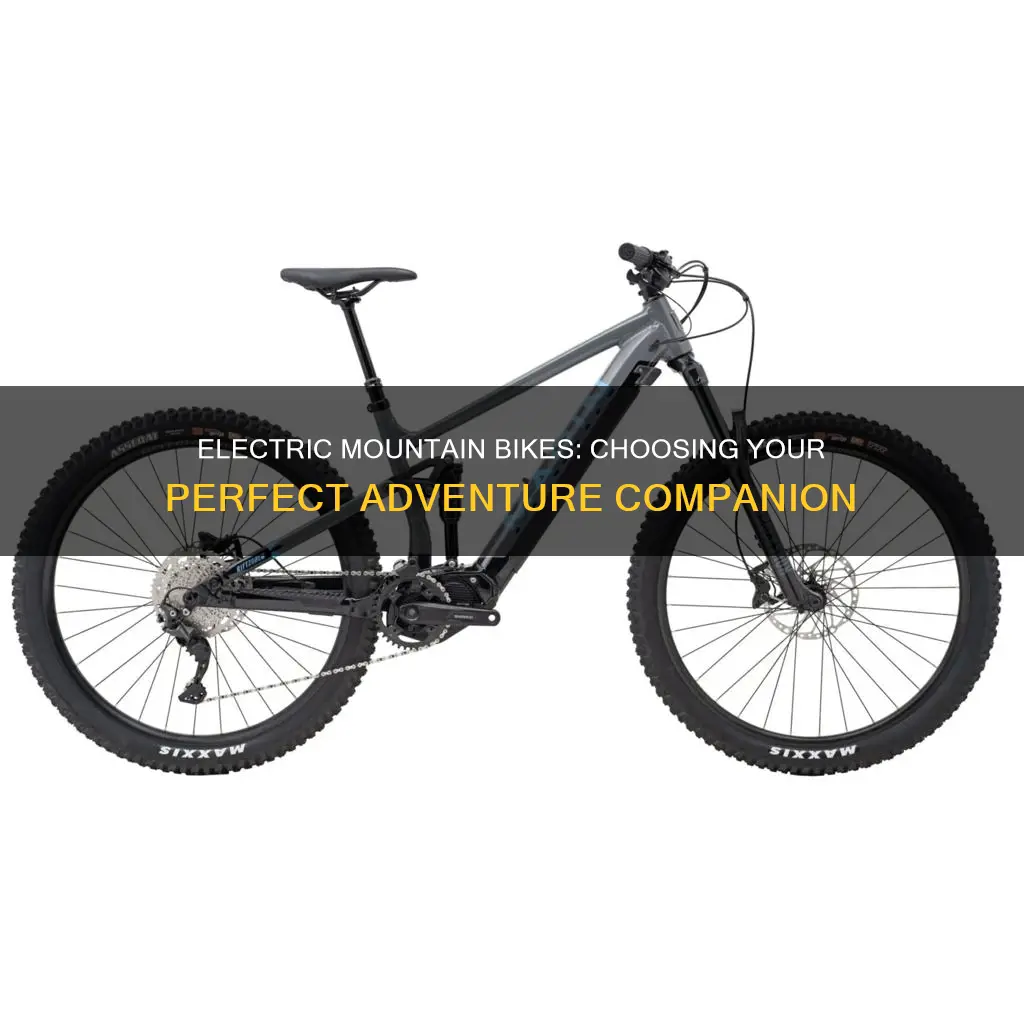 what electric mountain bike should i buy