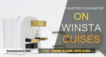Electric Plug Adapters: A Guide for Winstart Cruise Travellers
