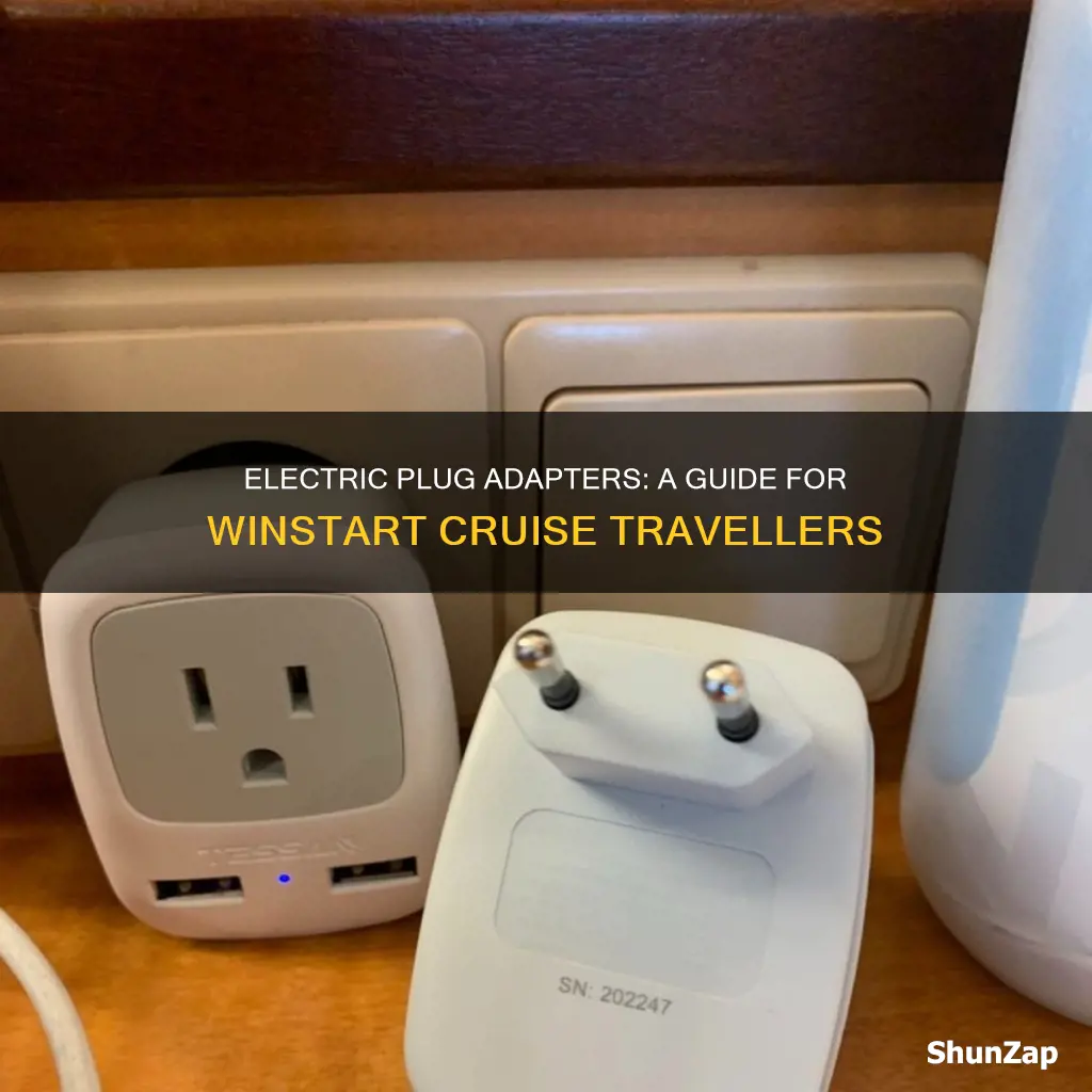 what electric plug adapter on winstart cuises