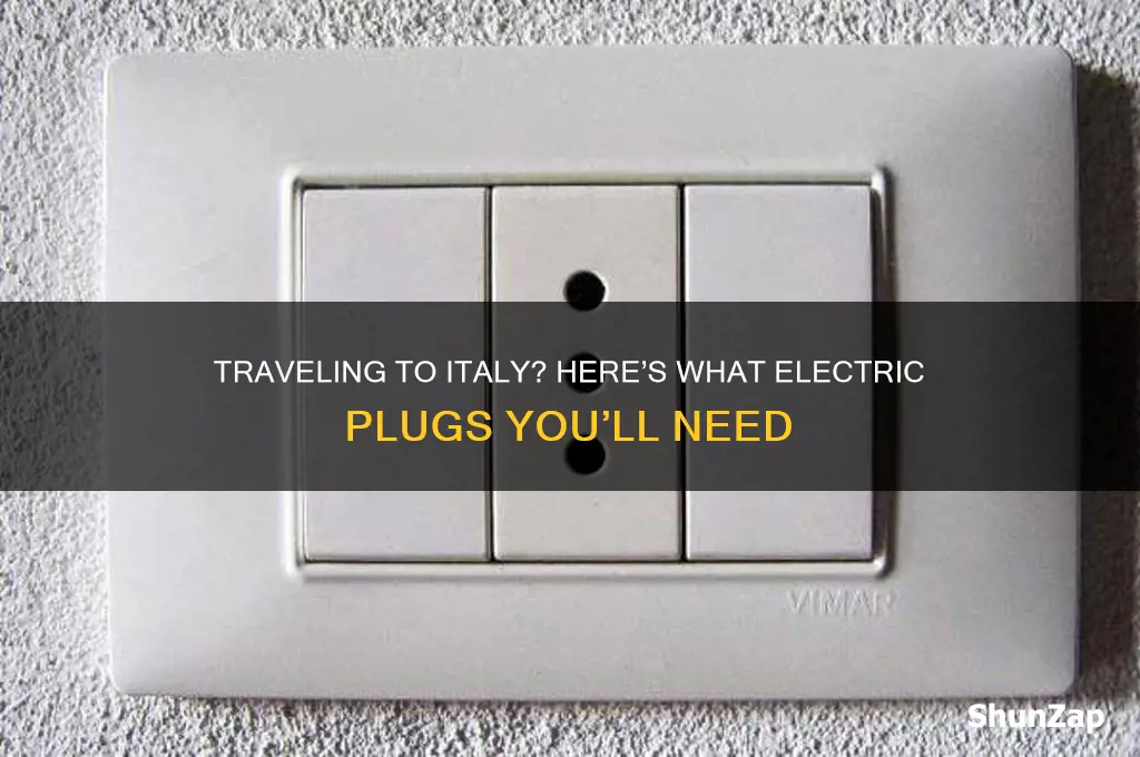 what electric plugs are used in italy