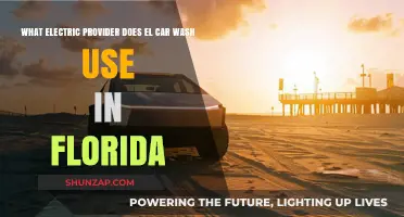 El Car Wash's Electric Provider in Florida: Powering Clean Rides