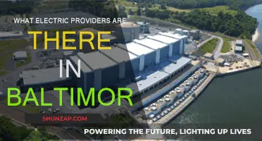 Baltimore's Top Electric Providers: A Comprehensive Guide