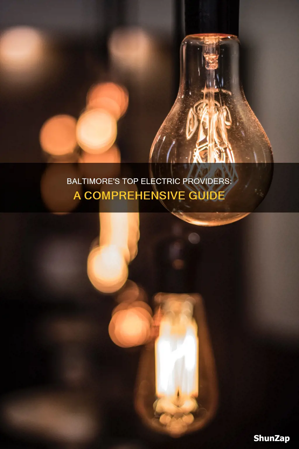what electric providers are there in baltimore