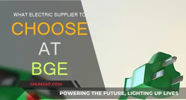 Choosing the Right Electric Supplier for BGE Customers