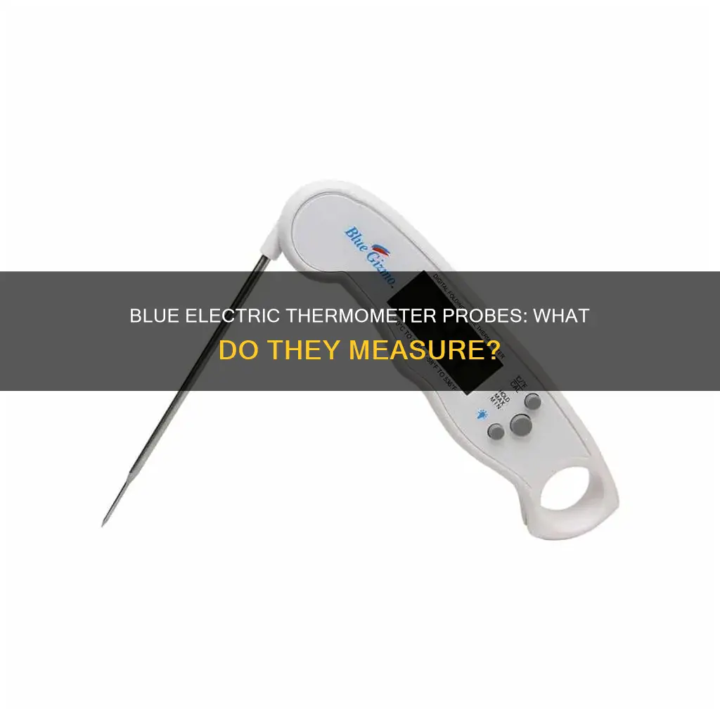 what electric thermometer probe color is blue