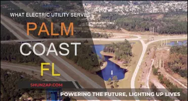 Who Powers Palm Coast, Florida?