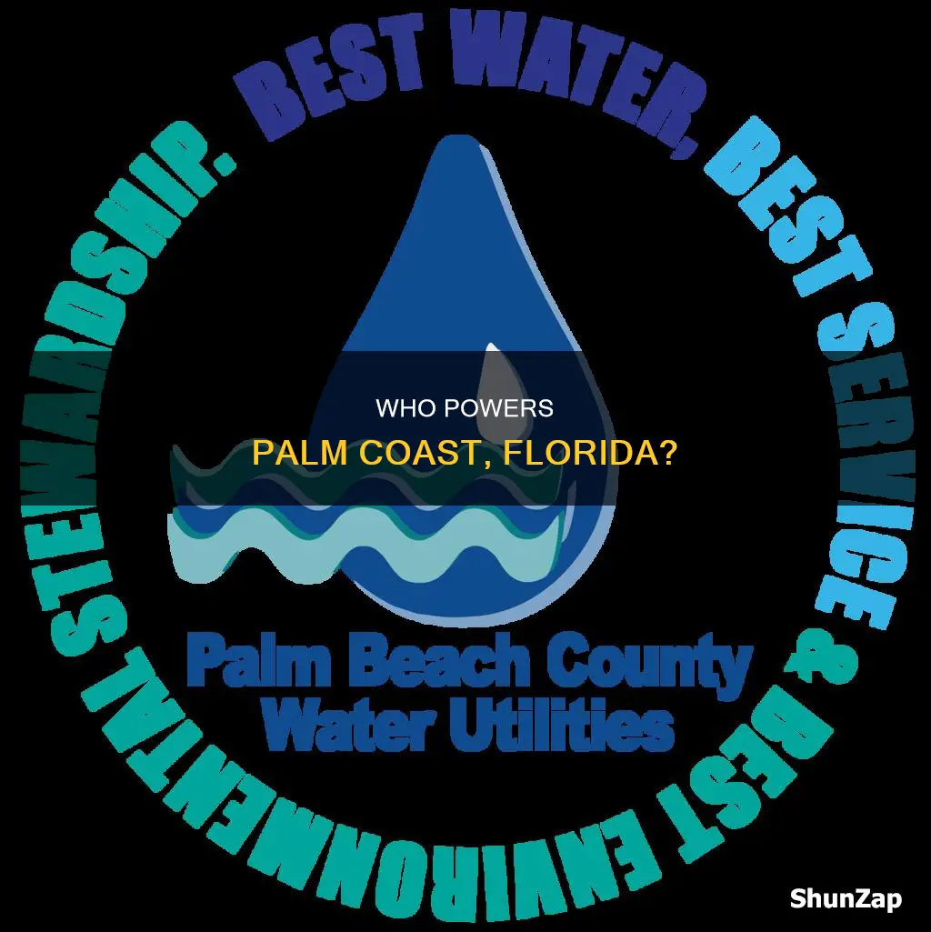 what electric utility serves palm coast fl