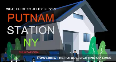 Electric Utilities Serving Putnam Station, NY: Who's Responsible?