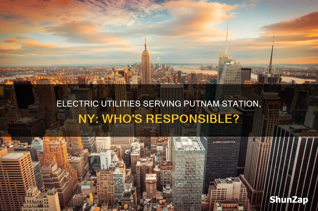 what electric utility serves putnam station ny