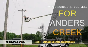 Electric Utility Services: Anderson Creek's Energy Options