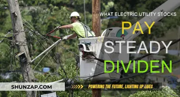Electric Utility Dividends: Which Stocks Pay Reliable Returns?