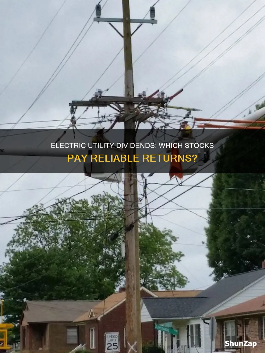 what electric utility stocks pay steady dividends