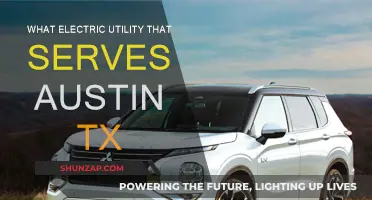 Austin's Energy: Powering the City's Future