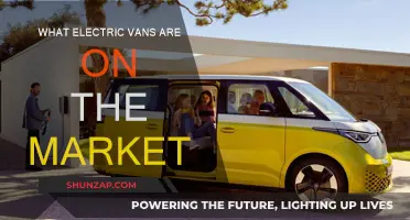 Electric Vans: What's on the Market?