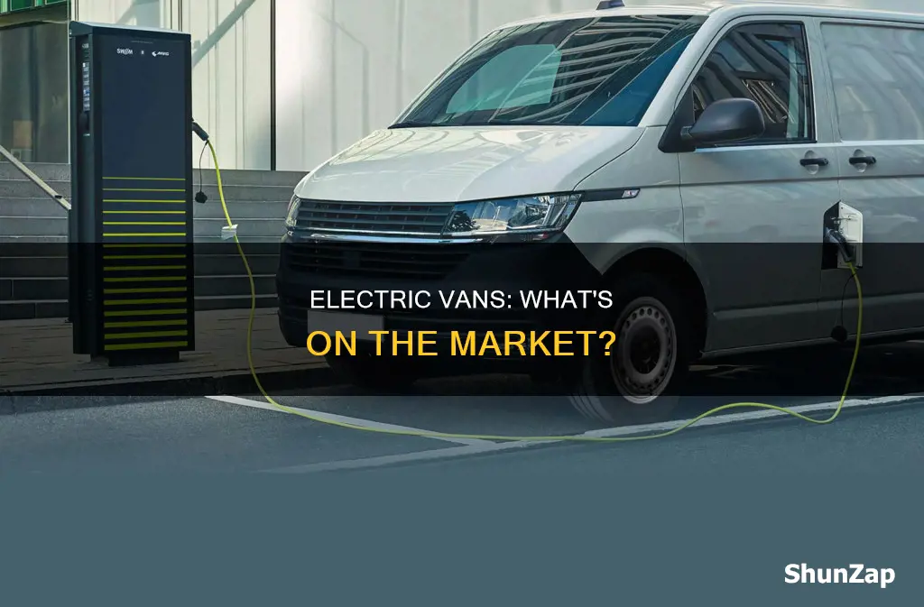 what electric vans are on the market
