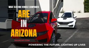 Arizona's Electric Revolution: Unveiling the EV Leaders