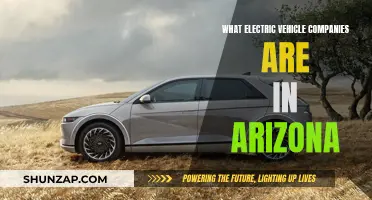 Arizona's Electric Vehicle Companies: Who's Leading the Charge?