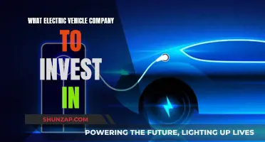 Unveiling the Future: Top EV Stocks to Watch