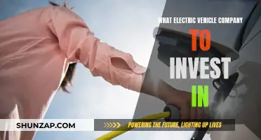 Electric Vehicle Investing: Which Company Should You Choose?