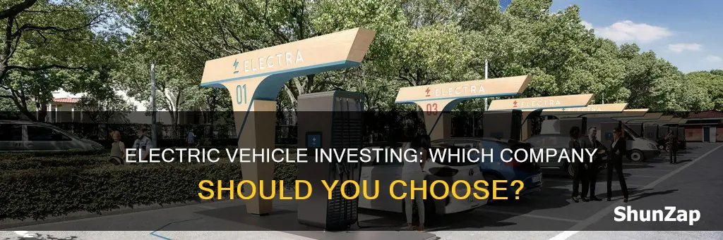 what electric vehicle company to invest in