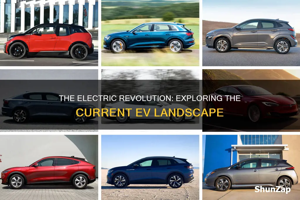 what electric vehicles are available now