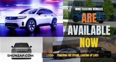 Electric Vehicles: Current Options and Availability