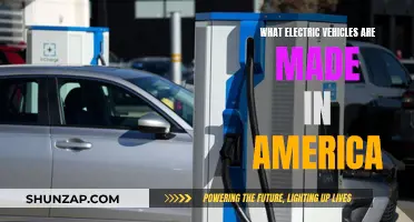 American-Made Electric Vehicles: Exploring Domestic Production