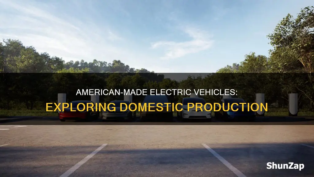 what electric vehicles are made in america