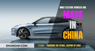 Exploring China's Electric Vehicle Revolution: Top Brands and Models