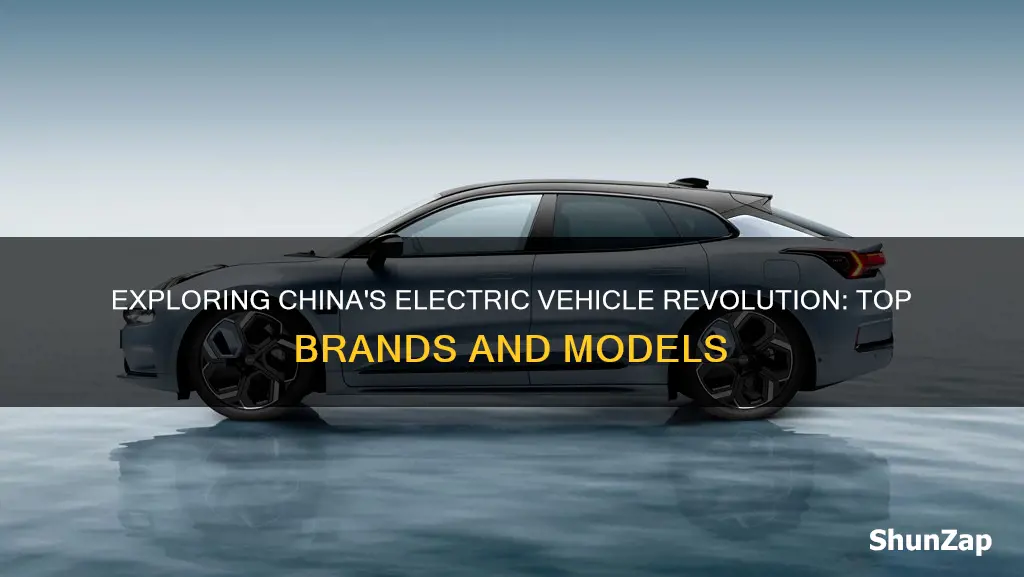 what electric vehicles are made in china