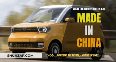 China's Electric Vehicle Revolution: Exploring Domestic Offerings