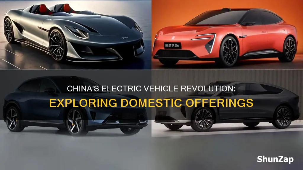 what electric vehicles are made in china