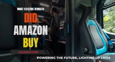Amazon's Electric Fleet: Which Vehicles Did They Choose?