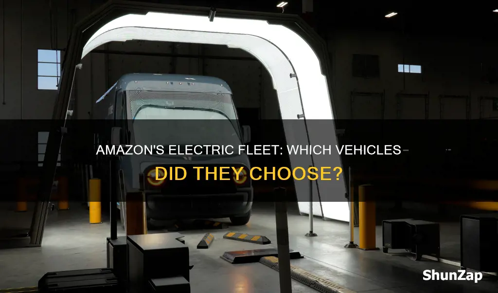 what electric vehicles did amazon buy