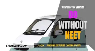 Electric Vehicles: Powering Progress Without Neet