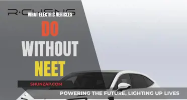 Electric Vehicles: Powering Innovation Without Neet Requirements