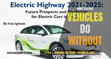 Electric Vehicles: Freedoms From, Not Just Freedoms Of